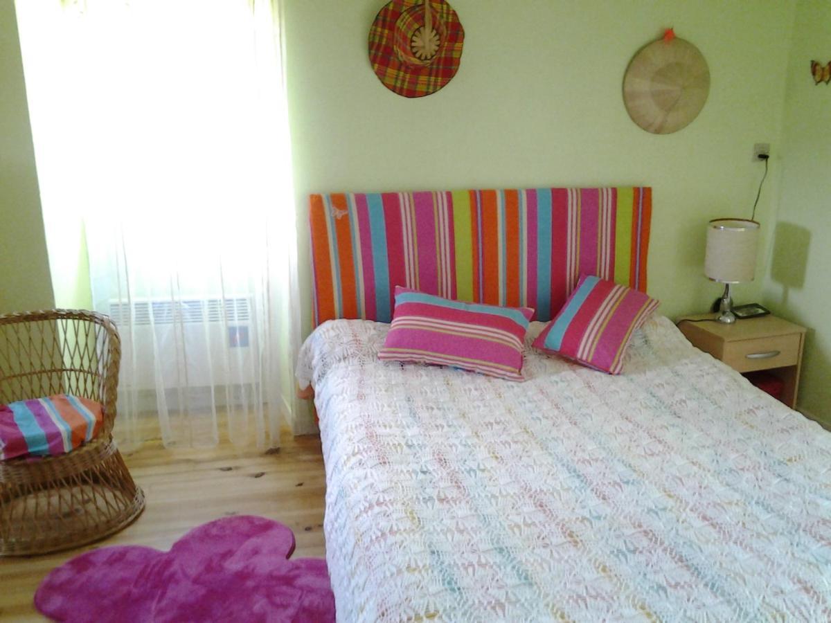 Вілла Chez Carpet Salvagnac-Cajarc Екстер'єр фото