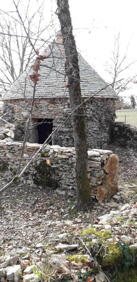 Вілла Chez Carpet Salvagnac-Cajarc Екстер'єр фото